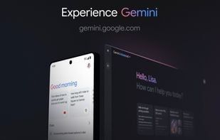 Google Gemini