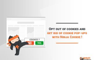 Ninja Cookie