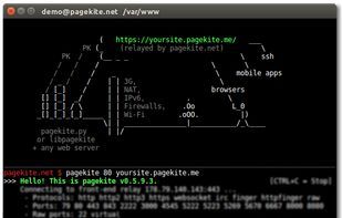 Pagekite