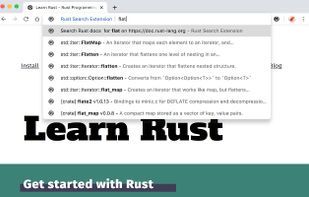 Rust Search Extension