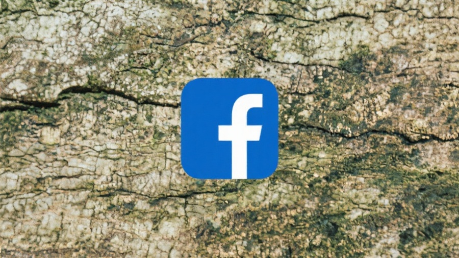 Facebook Reads & Annual Subscription: Affordable Boost for Viral Growth