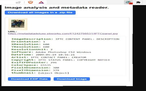Ripper Web Content - Google Chrome Extension